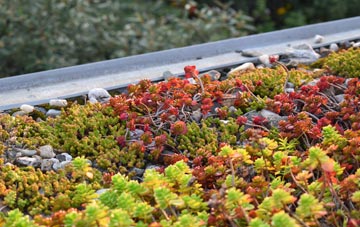 the cost of Llanllwchaiarn green roof installation