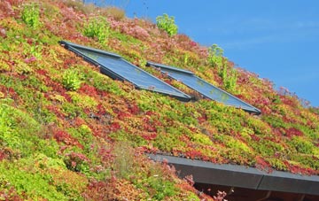 Llanllwchaiarn living roof systems