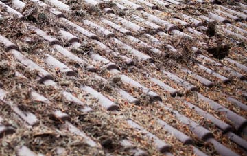 Llanllwchaiarn roof cleaning companies